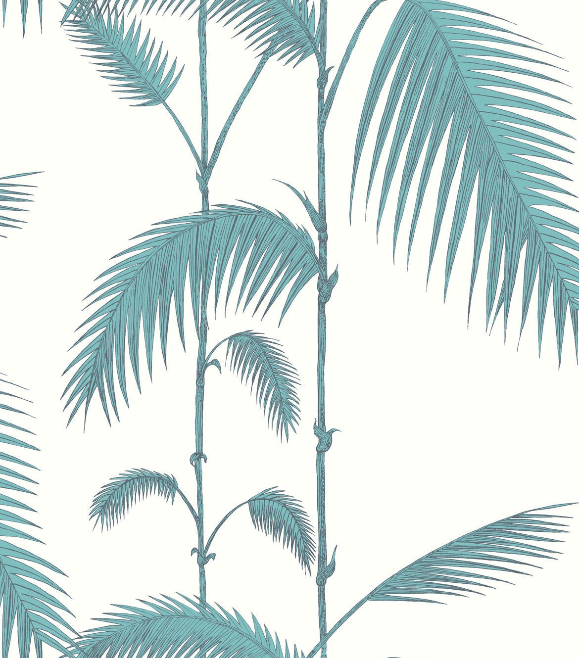 Featured image of post Papel Pintado Hojas Palmera La palmera pind es la favorita de muchos en jardines tropicales