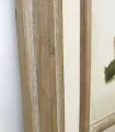 Cuadro helechos con marco madera blanqueada
