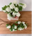 Ramo flores blancas Viburnum