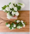 Ramo flores blancas Viburnum