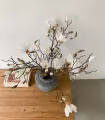 Rama magnolia grandiflora en flor 105 cm (set de 3)